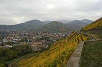 Cjp_2012_10_24_140546.jpg