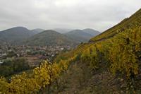 Cjp_2012_10_24_140812.jpg