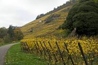 Cjp_2012_10_24_141738.jpg