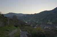 Cjp_2012_11_15_155304.jpg