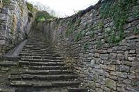 Cjp_2012_11_15_155558.jpg