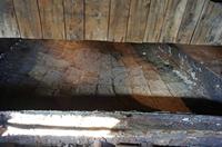 Cjp_2012_11_16_091324.jpg