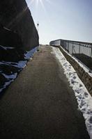 Cjp_2013_02_28_130404.jpg