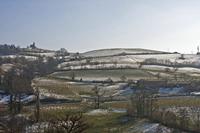 Cjp_2013_02_28_141858.jpg