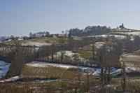 Cjp_2013_02_28_141918.jpg