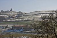 Cjp_2013_02_28_142310.jpg