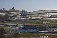 Cjp_2013_02_28_142406.jpg