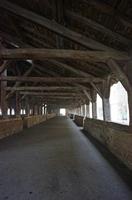 Cjp_2013_03_01_074601.jpg