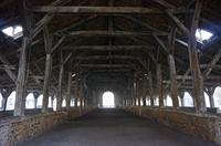 Cjp_2013_03_01_074624.jpg