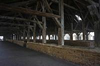 Cjp_2013_03_01_074721.jpg