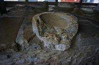 Cjp_2013_03_01_075518.jpg