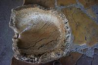 Cjp_2013_03_01_075816.jpg