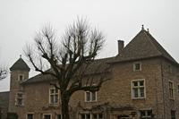 Cjp_2013_03_01_100622.jpg