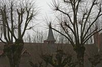 Cjp_2013_03_01_120244.jpg