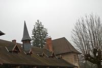 Cjp_2013_03_01_120324.jpg