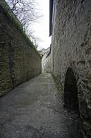 Cjp_2013_03_01_132842.jpg