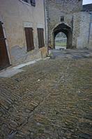 Cjp_2013_03_01_135036.jpg