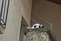 Cjp_2013_03_01_140202.jpg