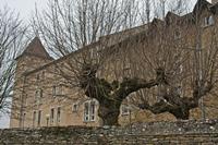 Cjp_2013_03_01_140540.jpg
