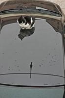 Cjp_2013_03_01_141114.jpg