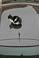 Cjp_2013_03_01_141610.jpg