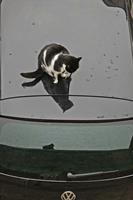 Cjp_2013_03_01_141638.jpg