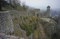 Cjp_2013_03_01_163028.jpg