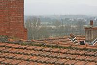Cjp_2013_03_02_123658.jpg