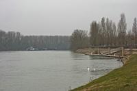 Cjp_2013_03_02_133332.jpg