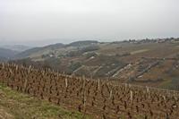 Cjp_2013_03_02_144002.jpg