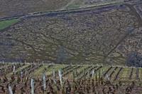 Cjp_2013_03_02_144024.jpg