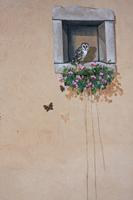 Cjp_2013_03_03_073624.jpg