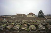 Cjp_2013_03_03_081350.jpg