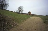 Cjp_2013_03_03_081530.jpg