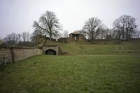 Cjp_2013_03_03_081618.jpg