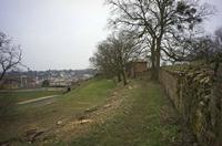 Cjp_2013_03_03_081850.jpg