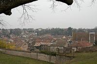 Cjp_2013_03_03_082050.jpg