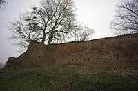 Cjp_2013_03_03_082406.jpg