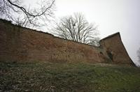 Cjp_2013_03_03_082430.jpg
