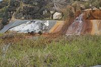 Cjp_2013_03_29_090518.jpg