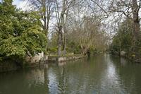 Cjp_2013_03_29_115428.jpg