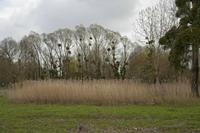Cjp_2013_03_29_122338.jpg