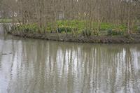 Cjp_2013_03_29_123540.jpg