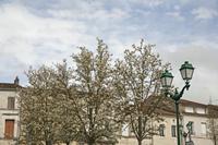 Cjp_2013_03_29_132740.jpg