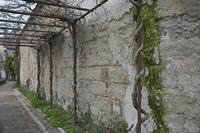 Cjp_2013_03_29_160250.jpg
