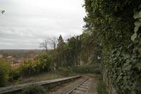 Cjp_2013_03_29_164352.jpg