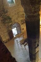 Cjp_2013_03_30_090257.jpg