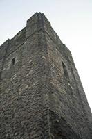 Cjp_2013_03_31_075312.jpg