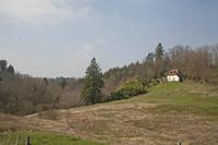 Cjp_2013_03_31_115948.jpg
