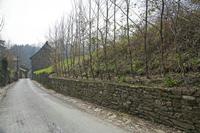 Cjp_2013_03_31_120422.jpg